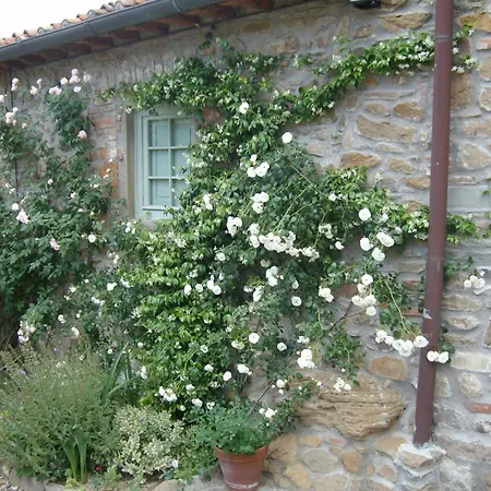 Charming With Private Bathroom